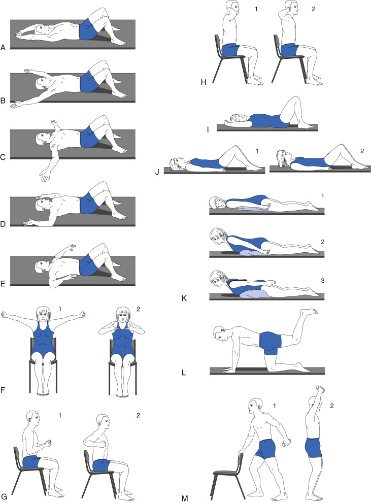 Neck Exercises for Osteoporosis of the Spine PDF – Safe & Proven