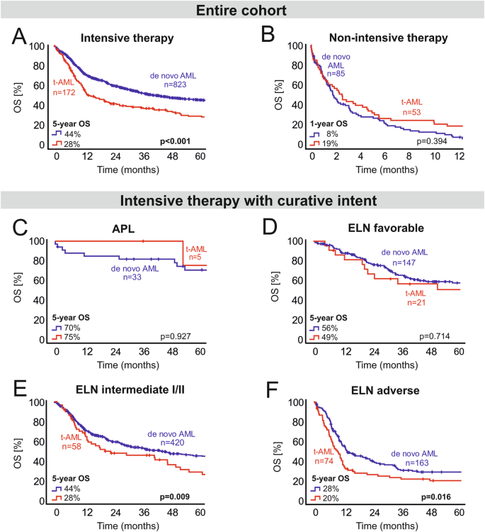 Therapy-Related AML Prognosis: What You Need to Know