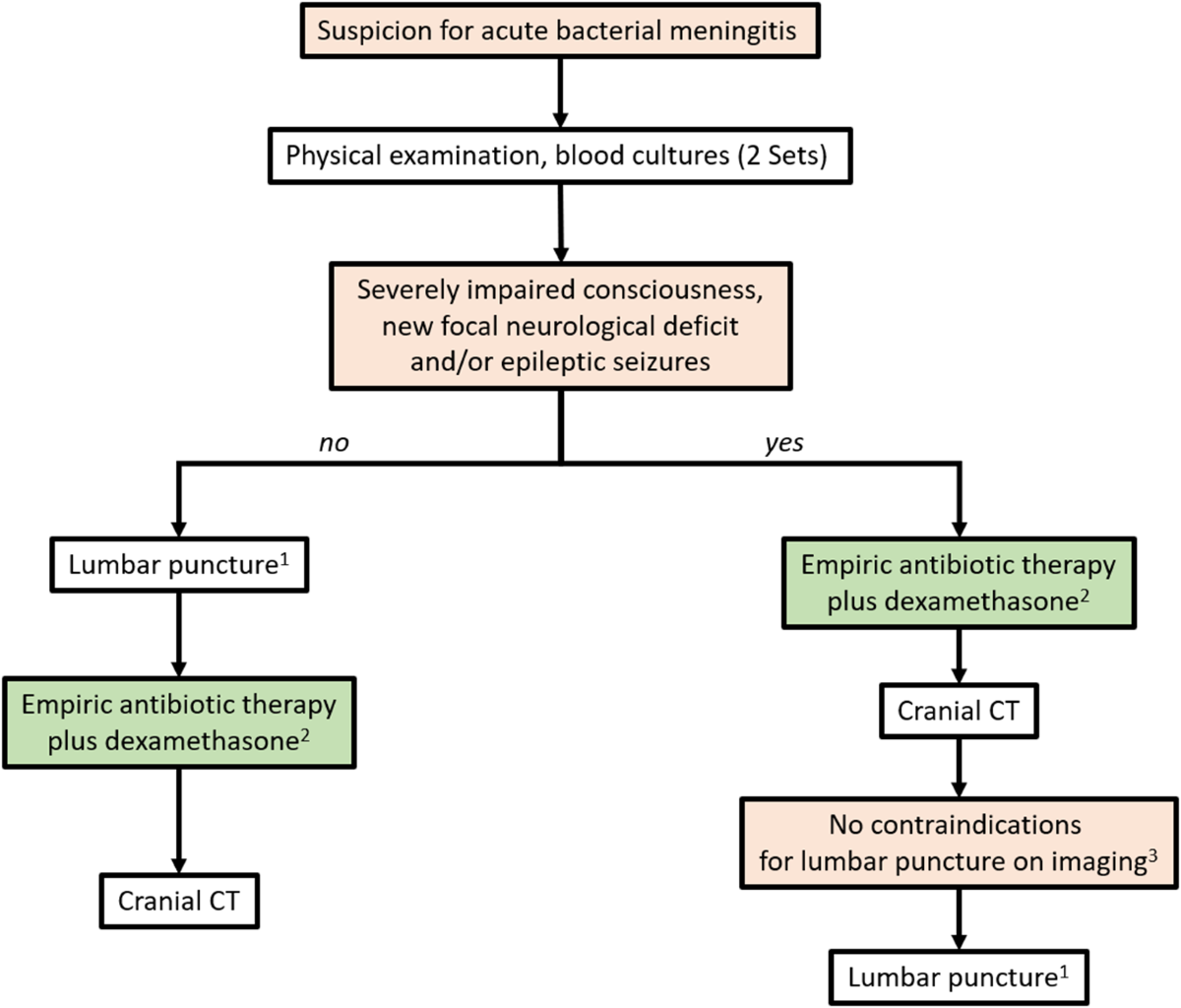 Bacterial Meningitis Treatment Guidelines: Quick Guide