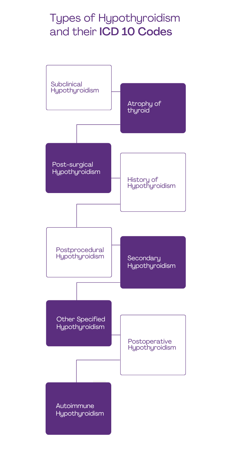 Primary Hypothyroidism ICD-10: Quick Guide & Codes