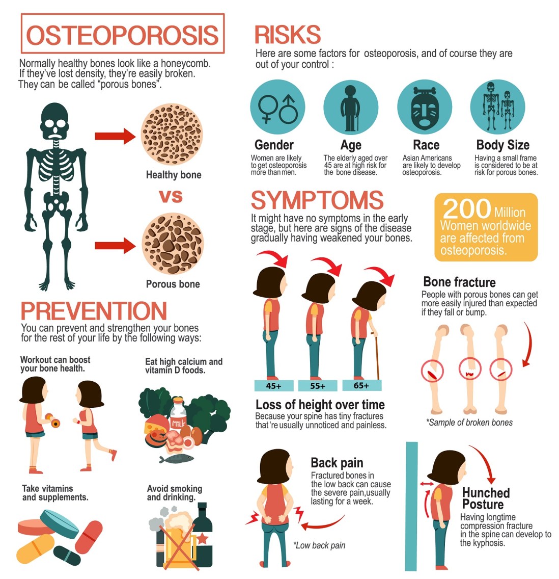 Can Osteoporosis Be Cured? The Honest Truth & Tips
