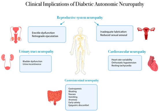 Diabetic Autonomic Neuropathy Diagnosis Guide