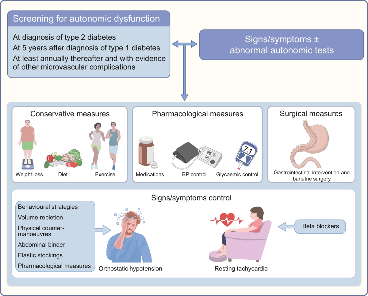 Diabetic Autonomic Neuropathy Syncope: Risks & Care