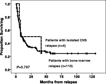 Isolated CNS Relapse AML: What You Need to Know