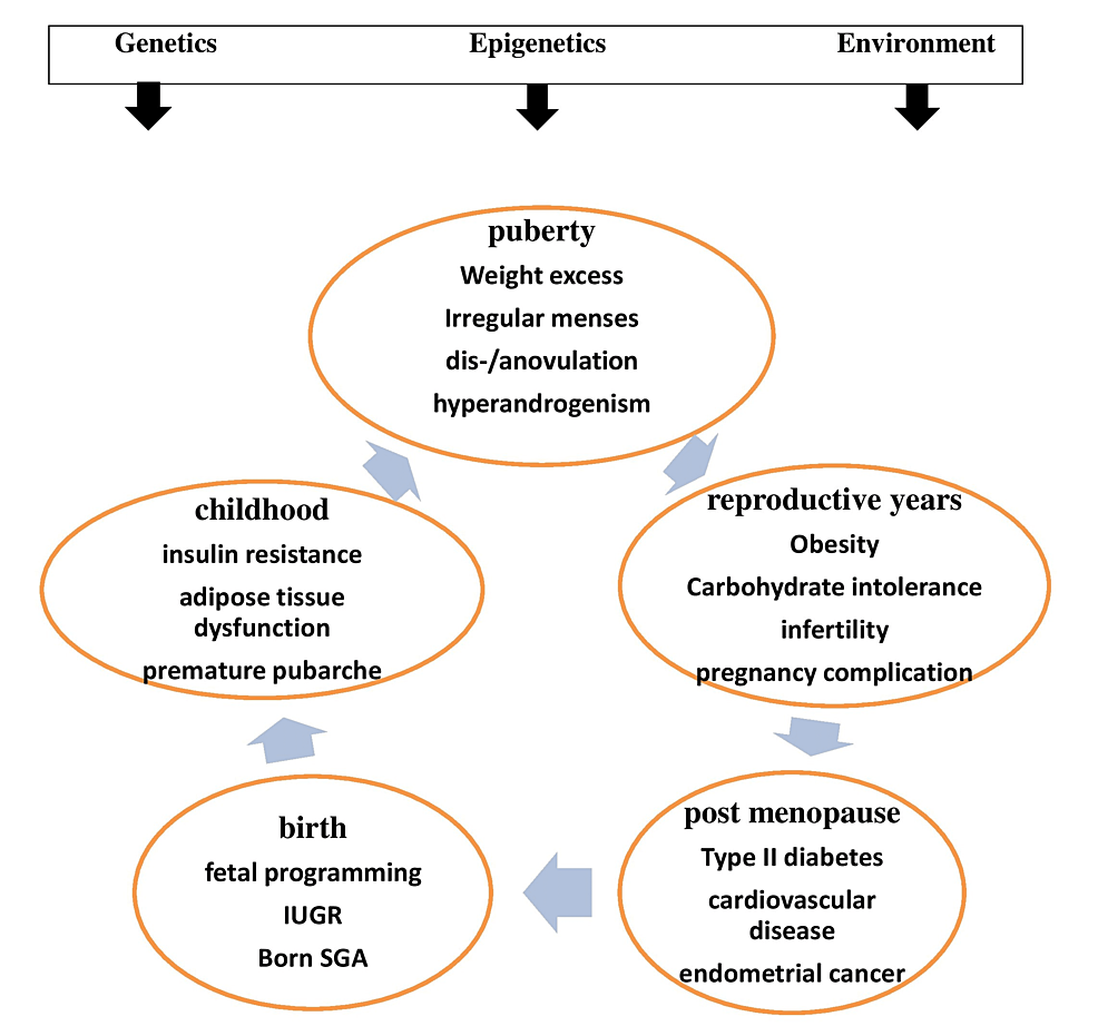 Lean PCOS Treatment Reddit: Real‑World Tips That Work