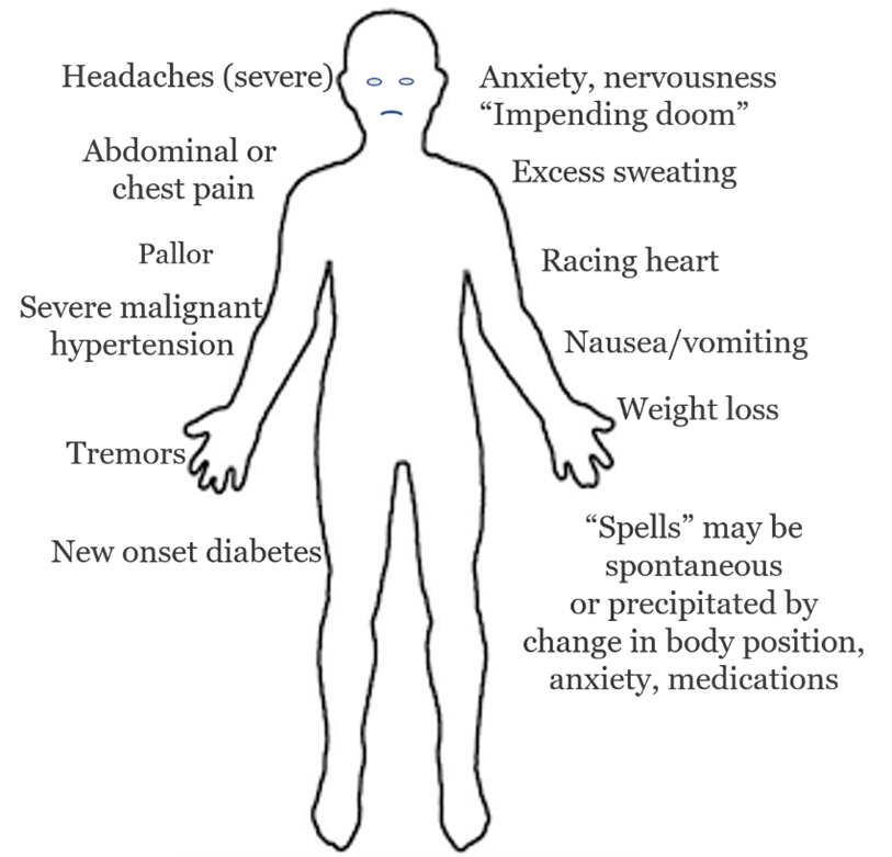 Why Pheochromocytoma Symptoms Worse at Night Matter