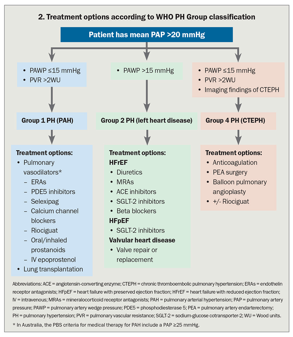 Portopulmonary Hypertension Guidelines: Essential Facts