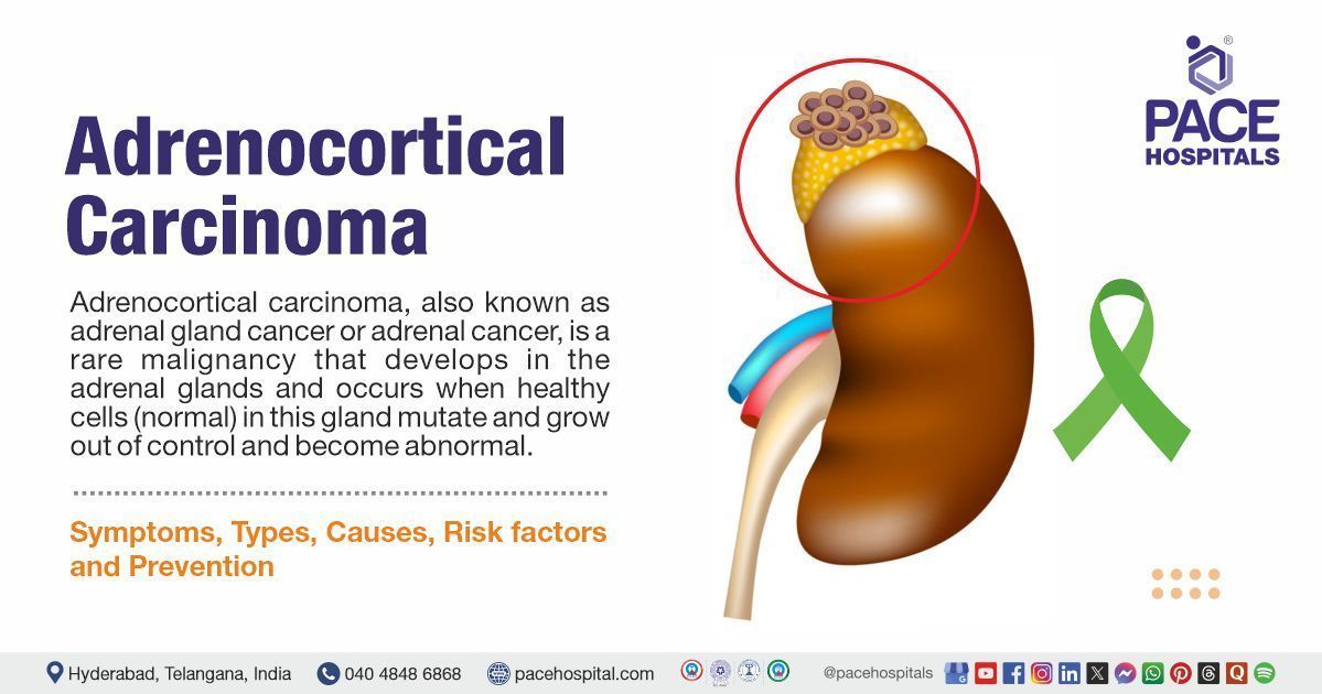 What Percentage of Adrenal Tumors Are Cancerous?
