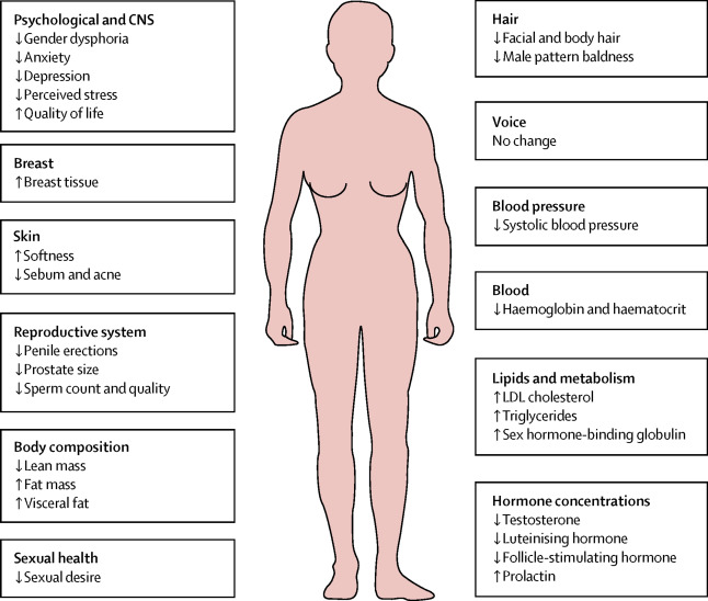 Anti‑Androgen Drugs Side Effects – What You Need to Know
