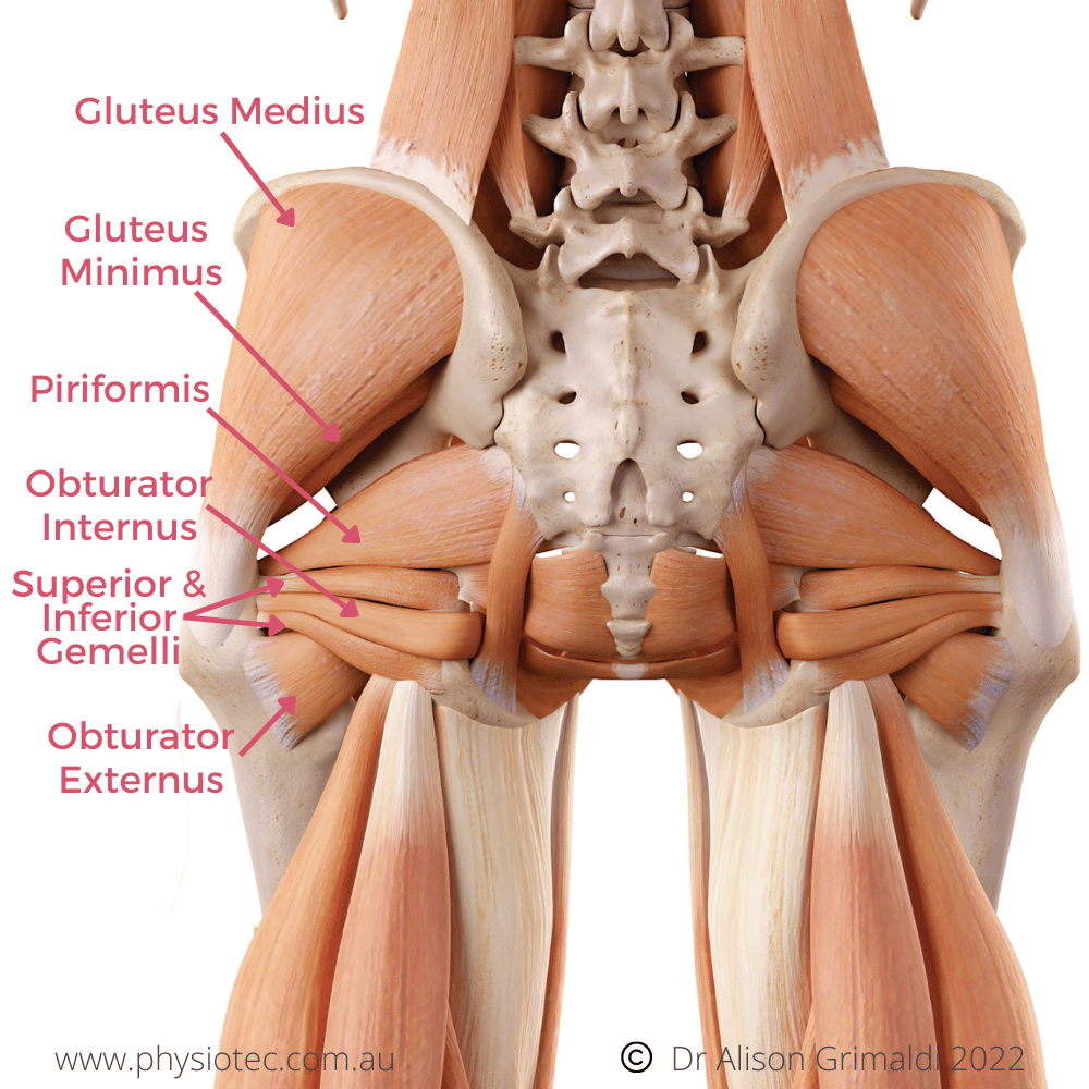 Deep Posterior Hip Pain: Quick Answers & DIY Screening