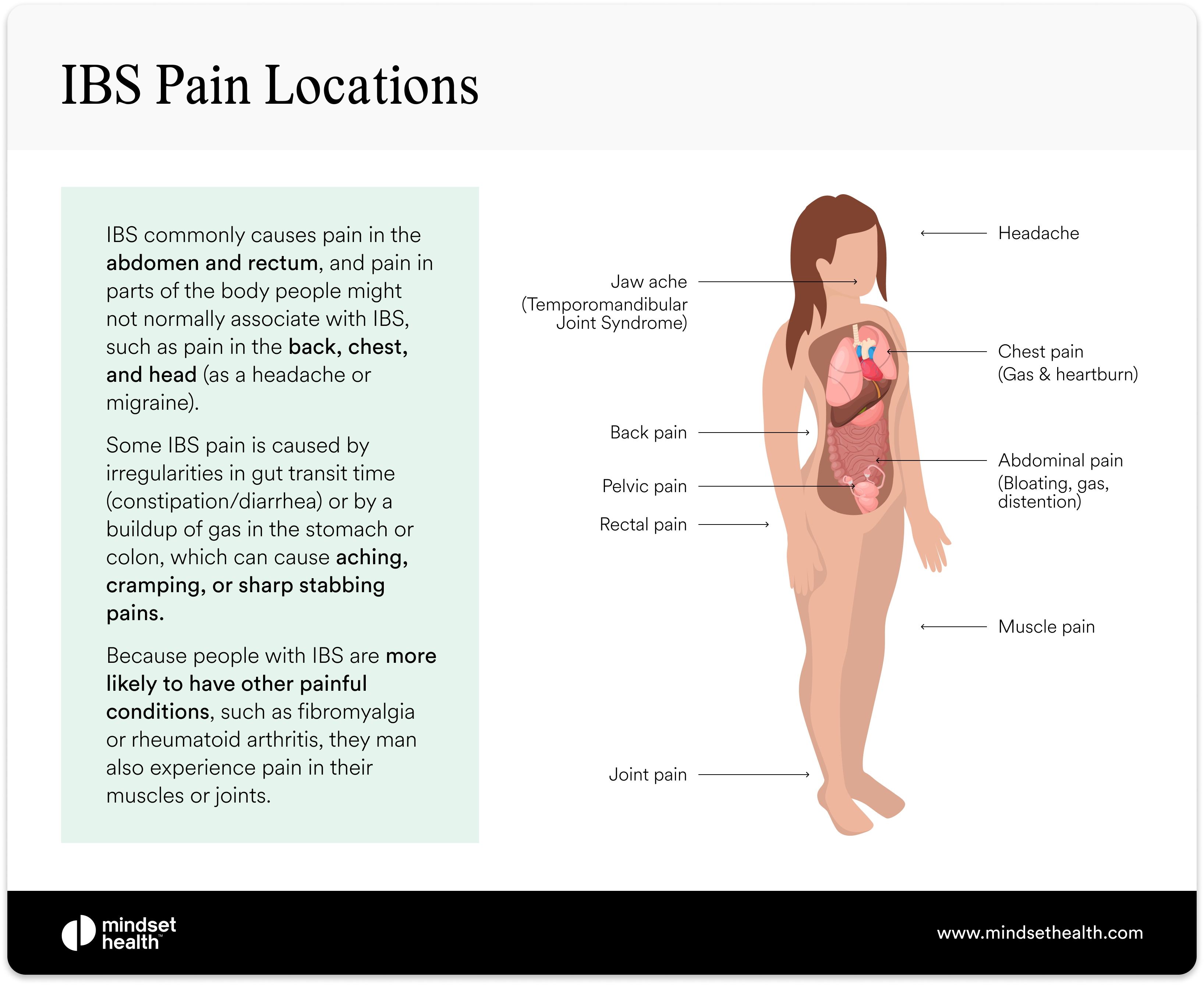 IBS Pain Location Diagram: Find Your Trouble Spots