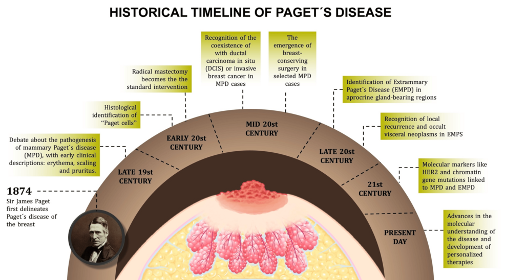 Natural Anti-Androgens Reddit: Real Tips & Safe Use