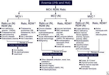 Pediatric Anemia Guidelines: Quick, Evidence‑Based Guide