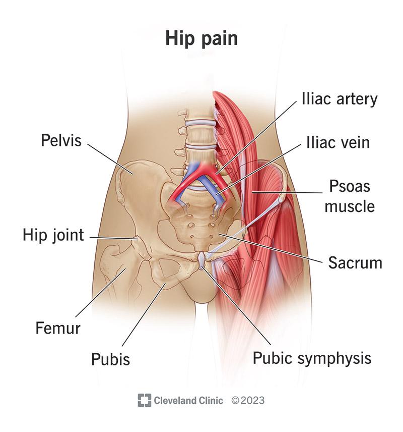 Posterior Hip Pain Treatment: Fast, Safe Relief