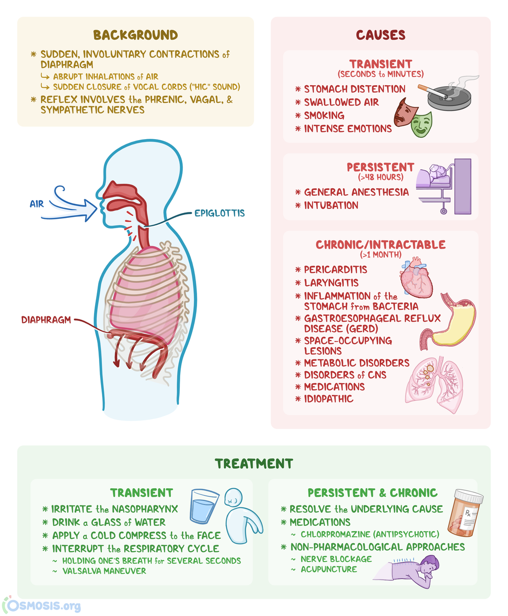 Reason for Continuous Hiccups in Old Age Explained