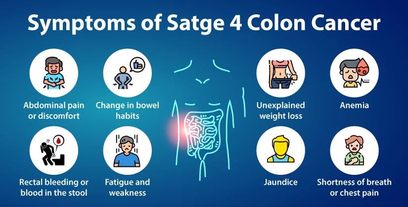 Vomiting Cancer End‑Stage: What It Means & How to Help