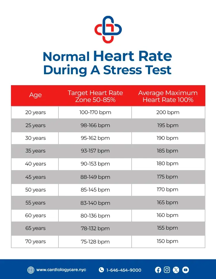 What Is a Normal Heart Rate During a Stress Test?