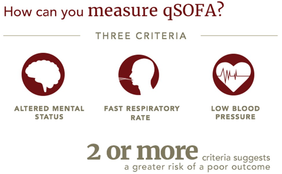 What qSOFA Score Indicates Organ Dysfunction?