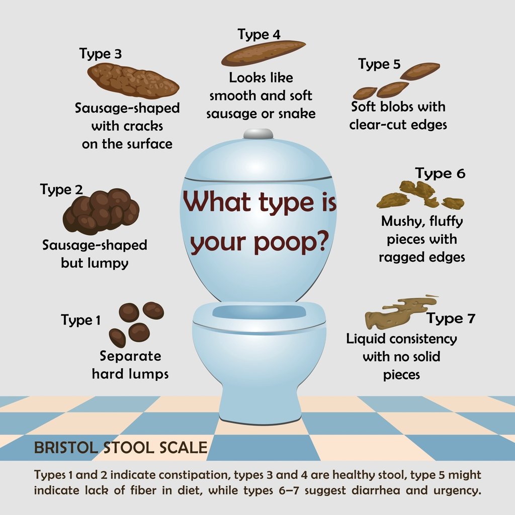 Why Is My Poop Hard at First Then Soft? Quick Relief