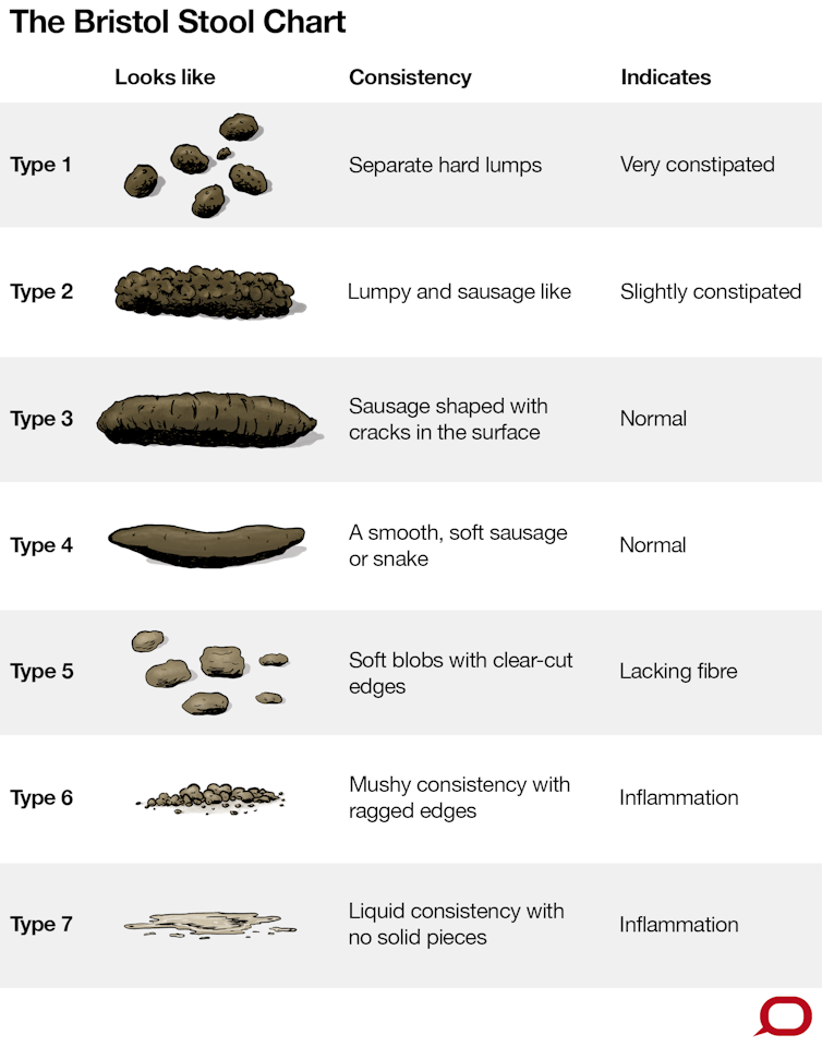 Why Is My Poop So Long & Soft? Causes & Solutions