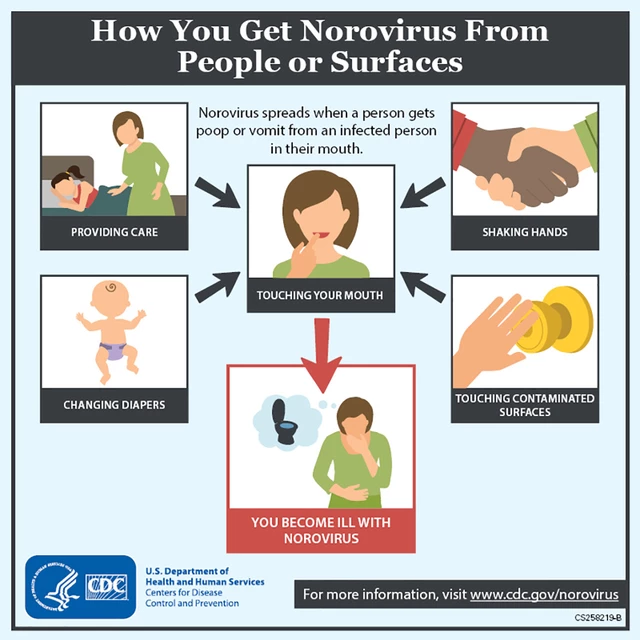 Norovirus Transmission: What You Need to Know Now