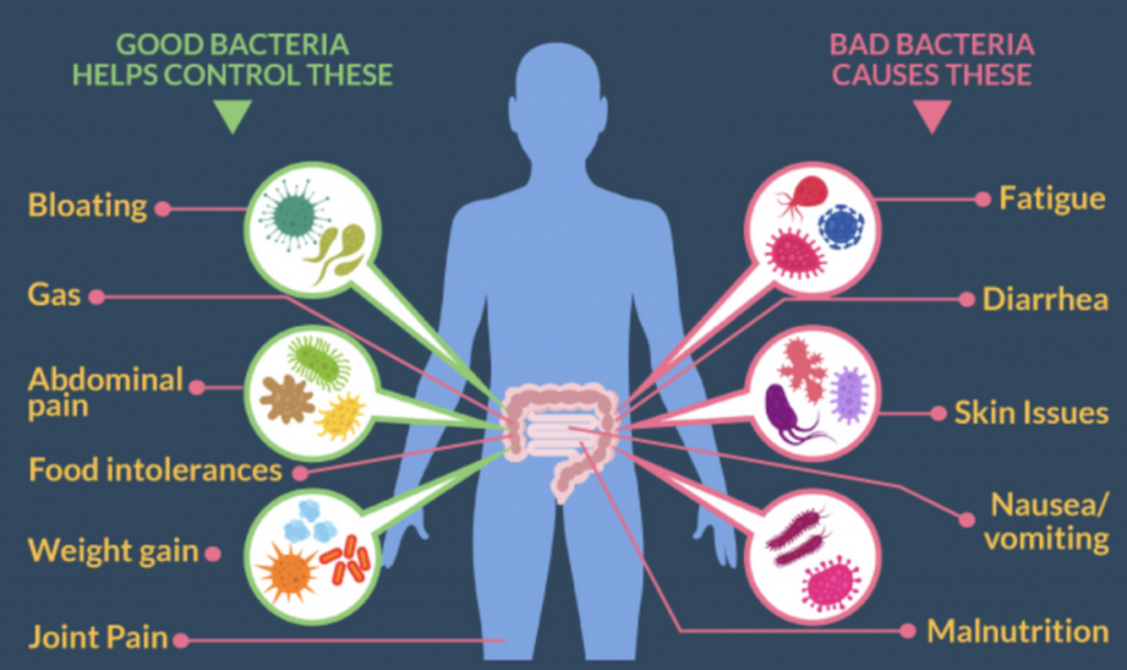 Effective SIBO Treatment: Relieve Your Belly Pain Today