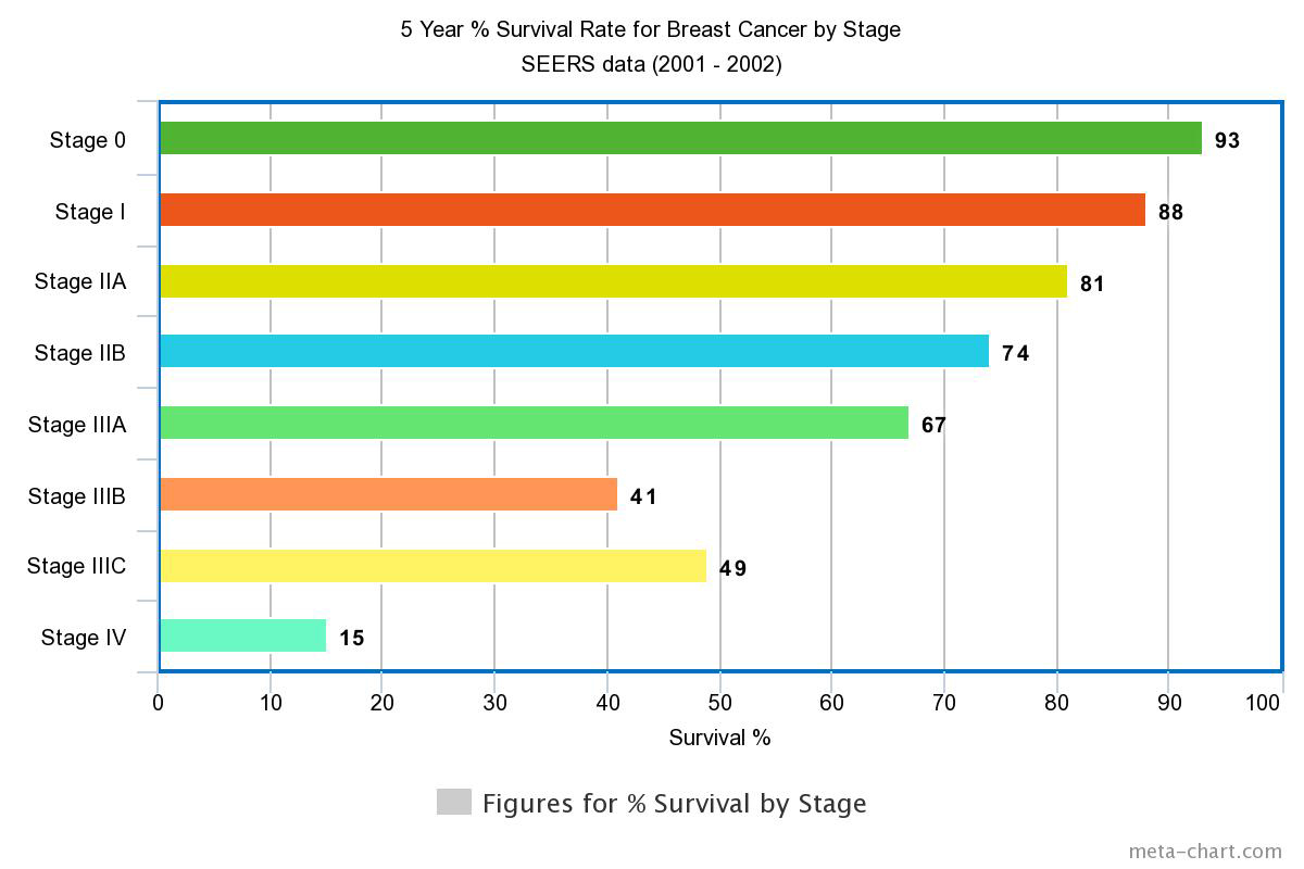Stage 4 Breast Cancer Survival Rate by Age Overview