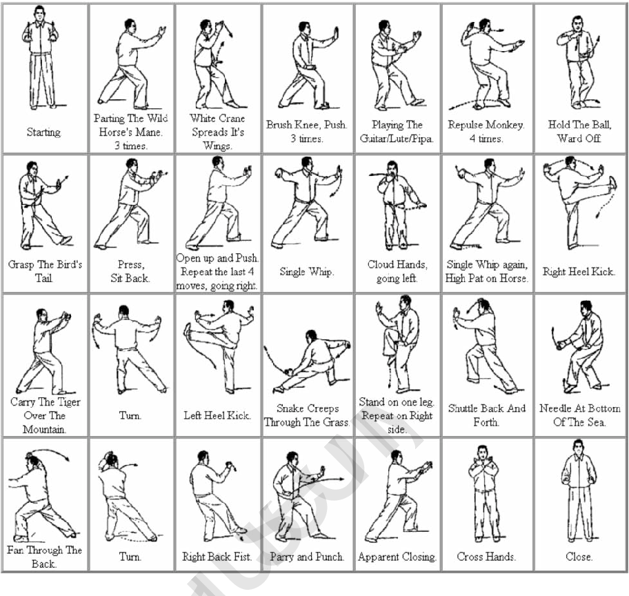 Free Tai Chi Exercises PDF – Download & Start Today