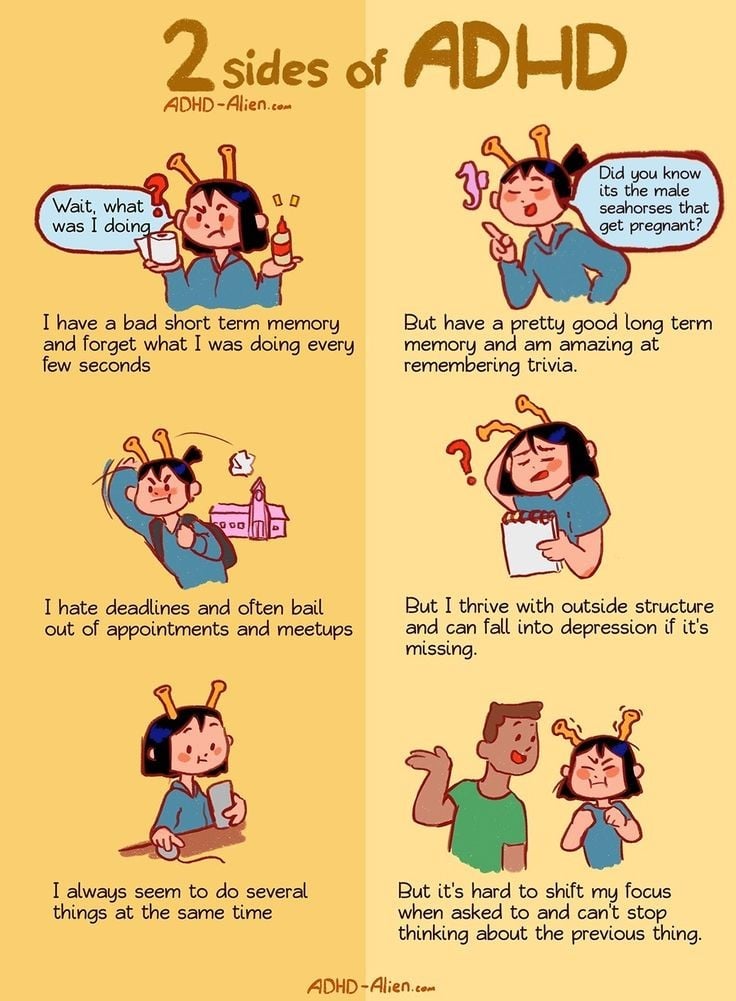 ADHD Long‑Term Memory Reddit: Myths, Realities & Tips