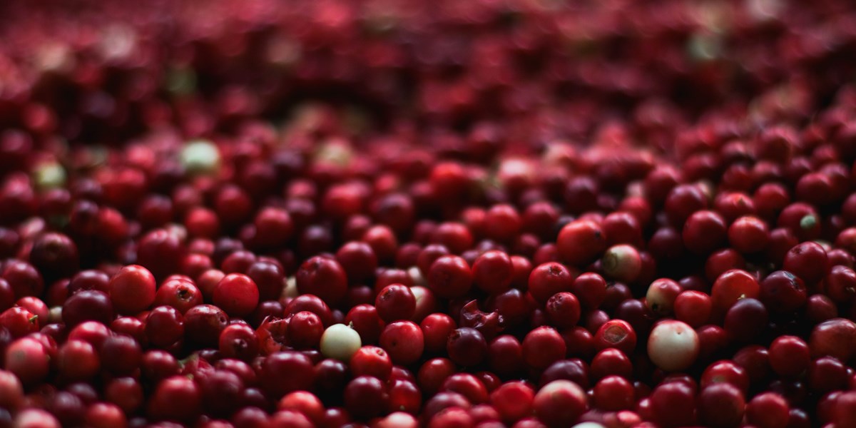 Cranberry Juice Benefits Female Fertility Naturally