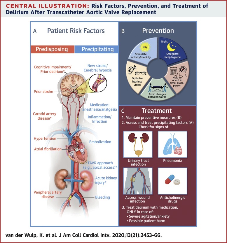 Understanding the Risks of TAVR in Elderly Patients