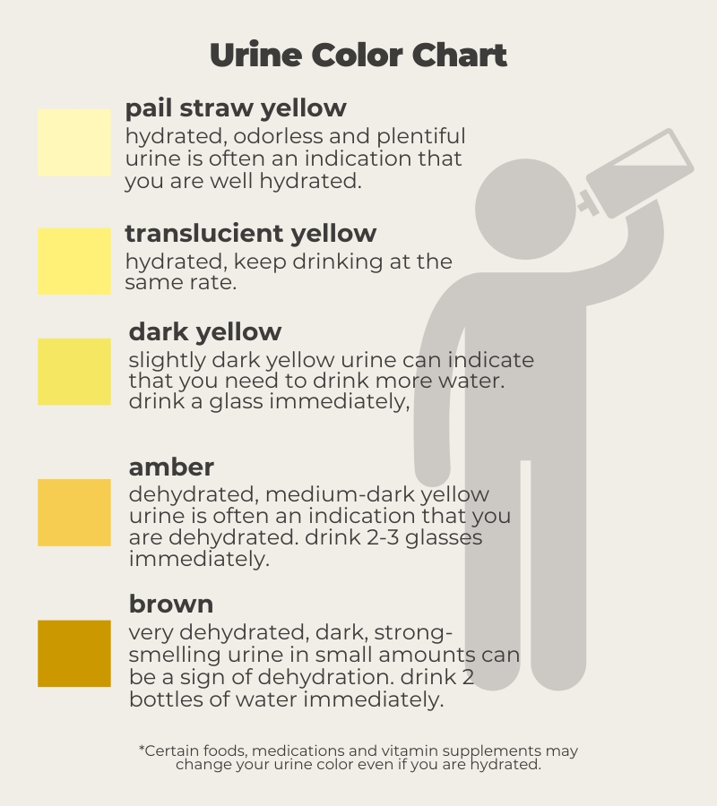 Turmeric Urine Color: Why It Changes and What It Means