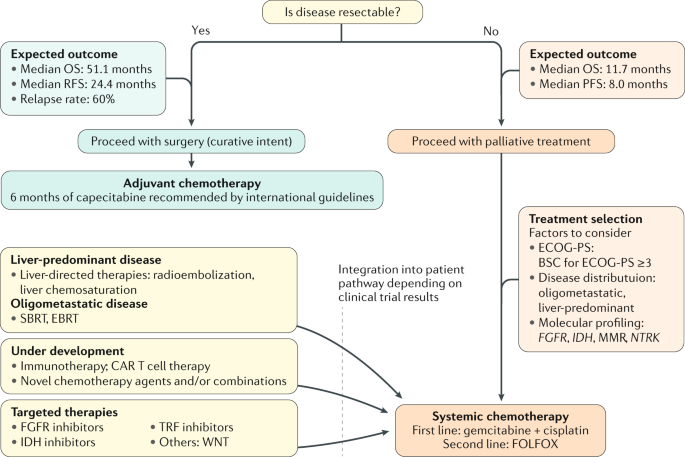 Cholangiocarcinoma Treatment Guidelines: Key Facts