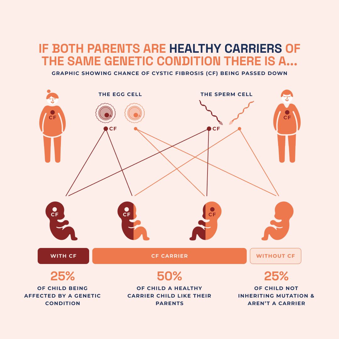 Cystic Fibrosis Testing During Pregnancy: A Guide
