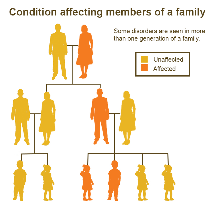 How is ADHD inherited? Genetics explained in families