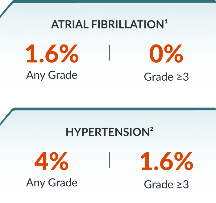 How Long Do You Take Calquence? Get Clear Answers Now
