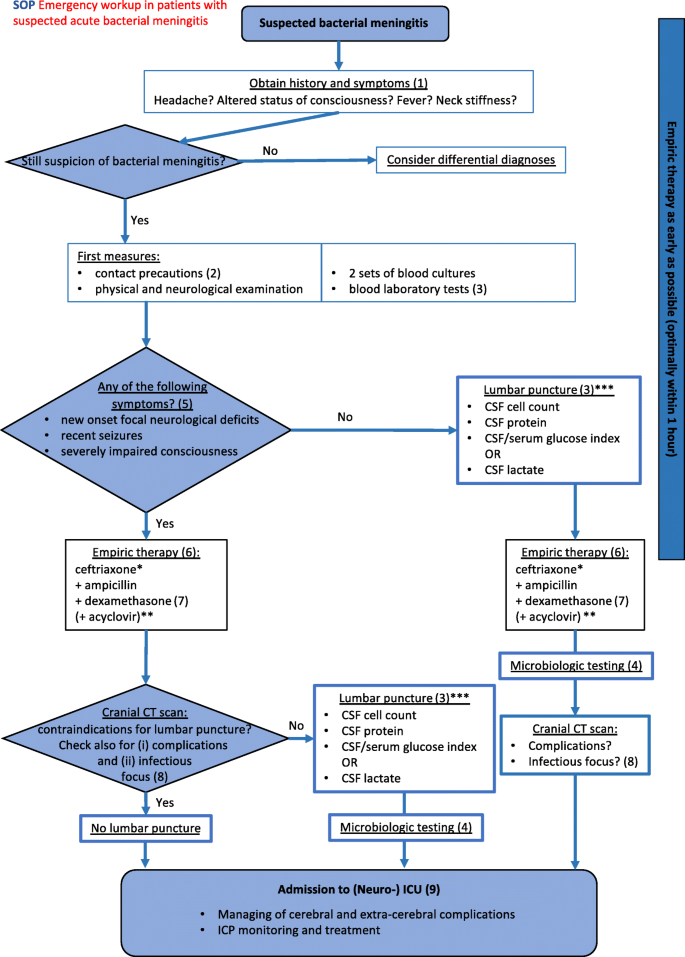 IDSA Meningitis Guidelines: What Clinicians Need to Know
