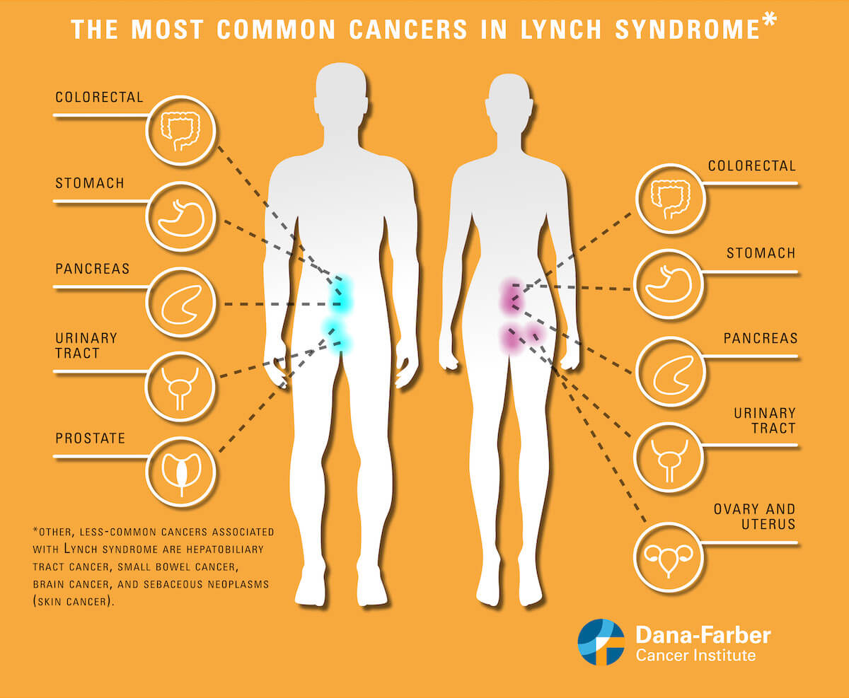 Lynch Syndrome Blood Test: Quick Answers & What to Expect