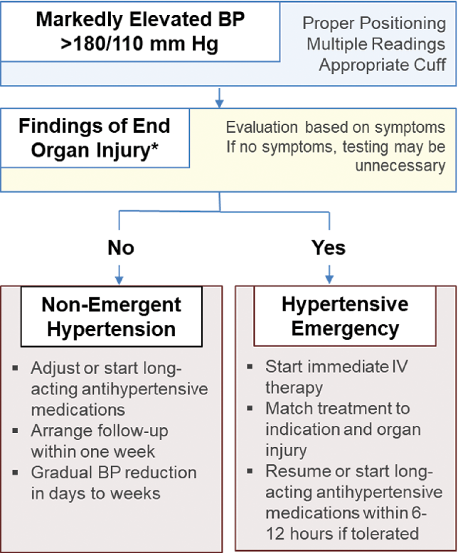 Management of Hypertension PDF: Your Quick‑Start Guide