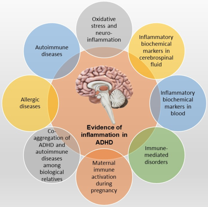 Pathophysiology of ADHD PDF – Quick Guide & Download