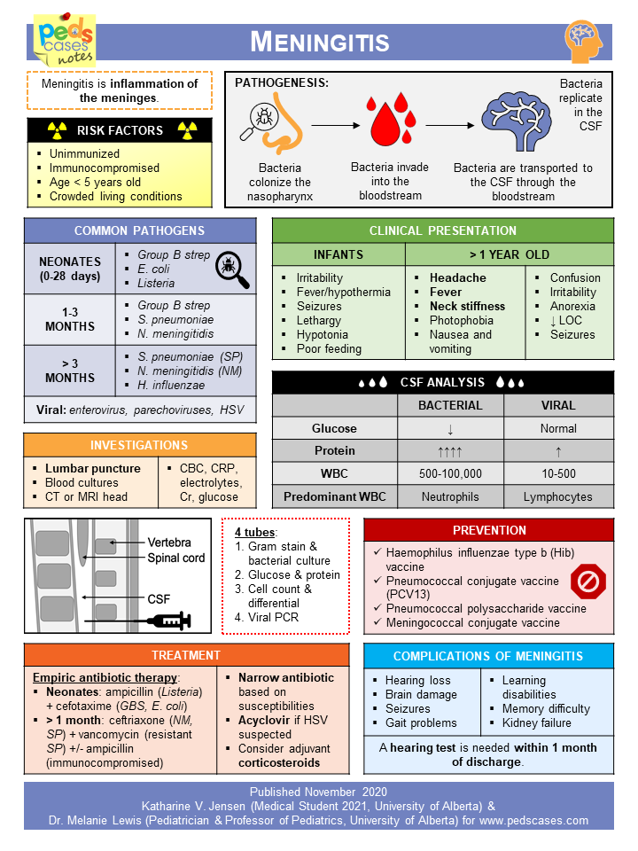 Pediatric Meningitis Guidelines – AAP Recommendations Overview