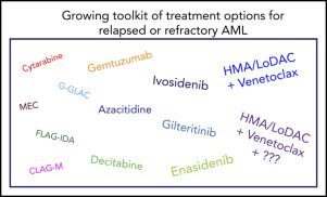 Relapsed AML Treatment: Options, Risks & What to Expect