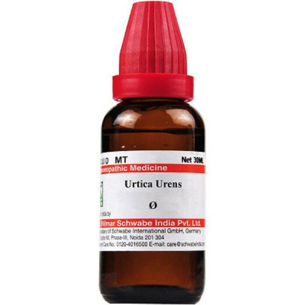 Urtica urens uses in homeopathy – What it really does