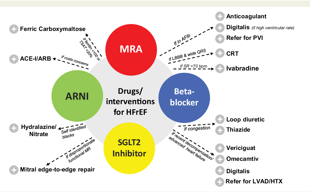 What Are the 4 Drug Treatments for Heart Failure?