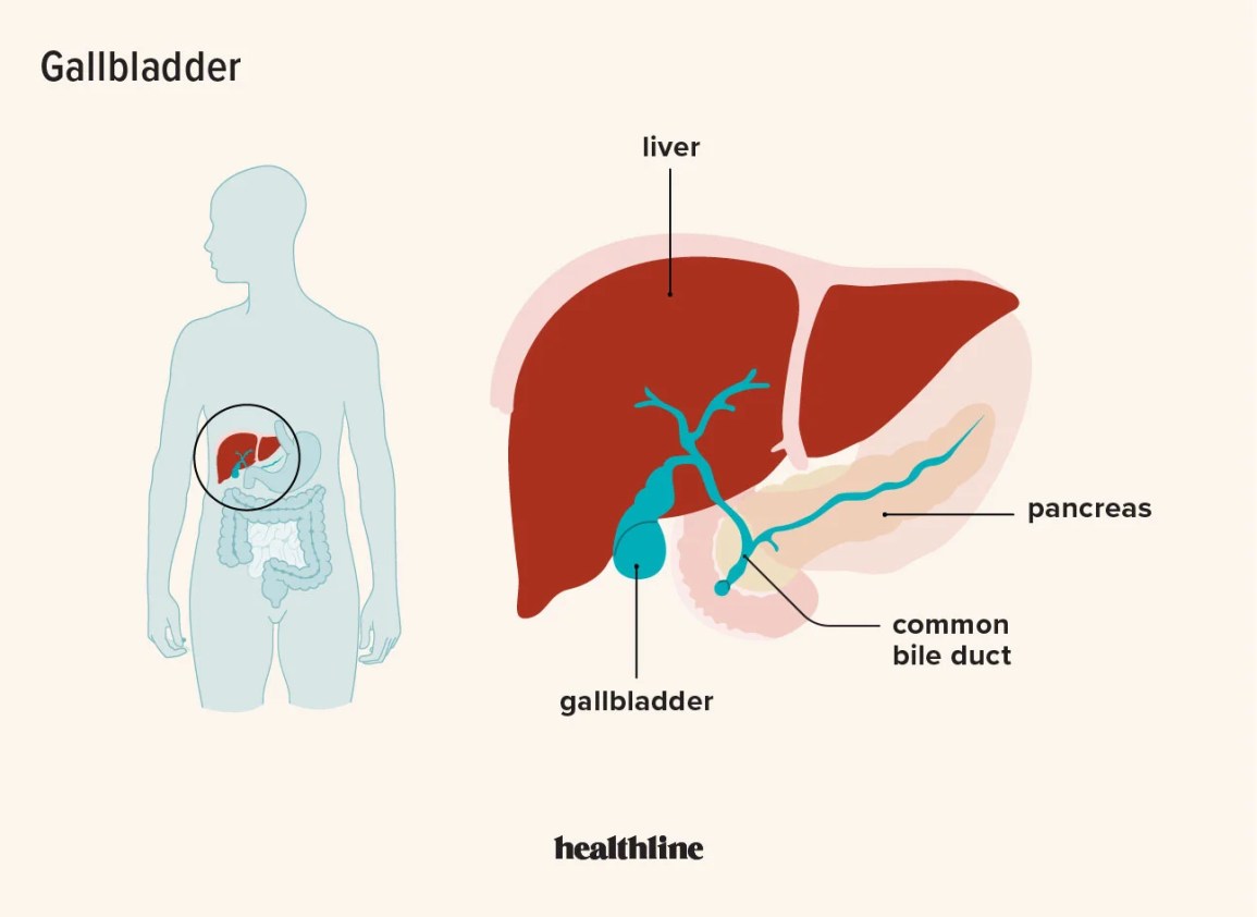 What Are the First Signs of a Bad Gallbladder?