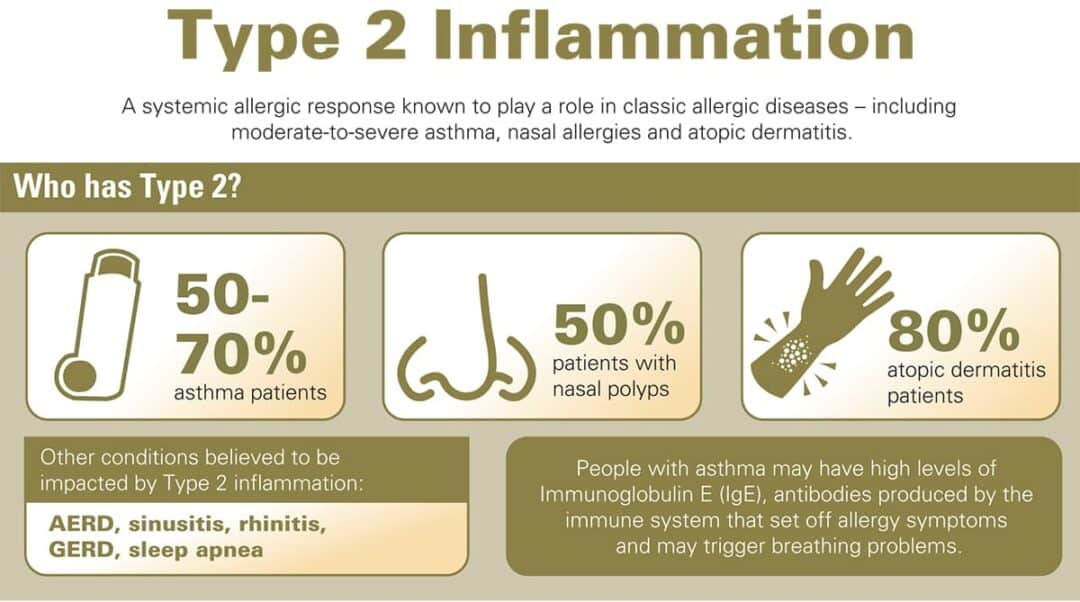 What Is Type 2 Inflammation in Asthma and Why It Matters