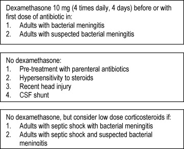 Why is Dexamethasone Given Before Antibiotics in Meningitis?