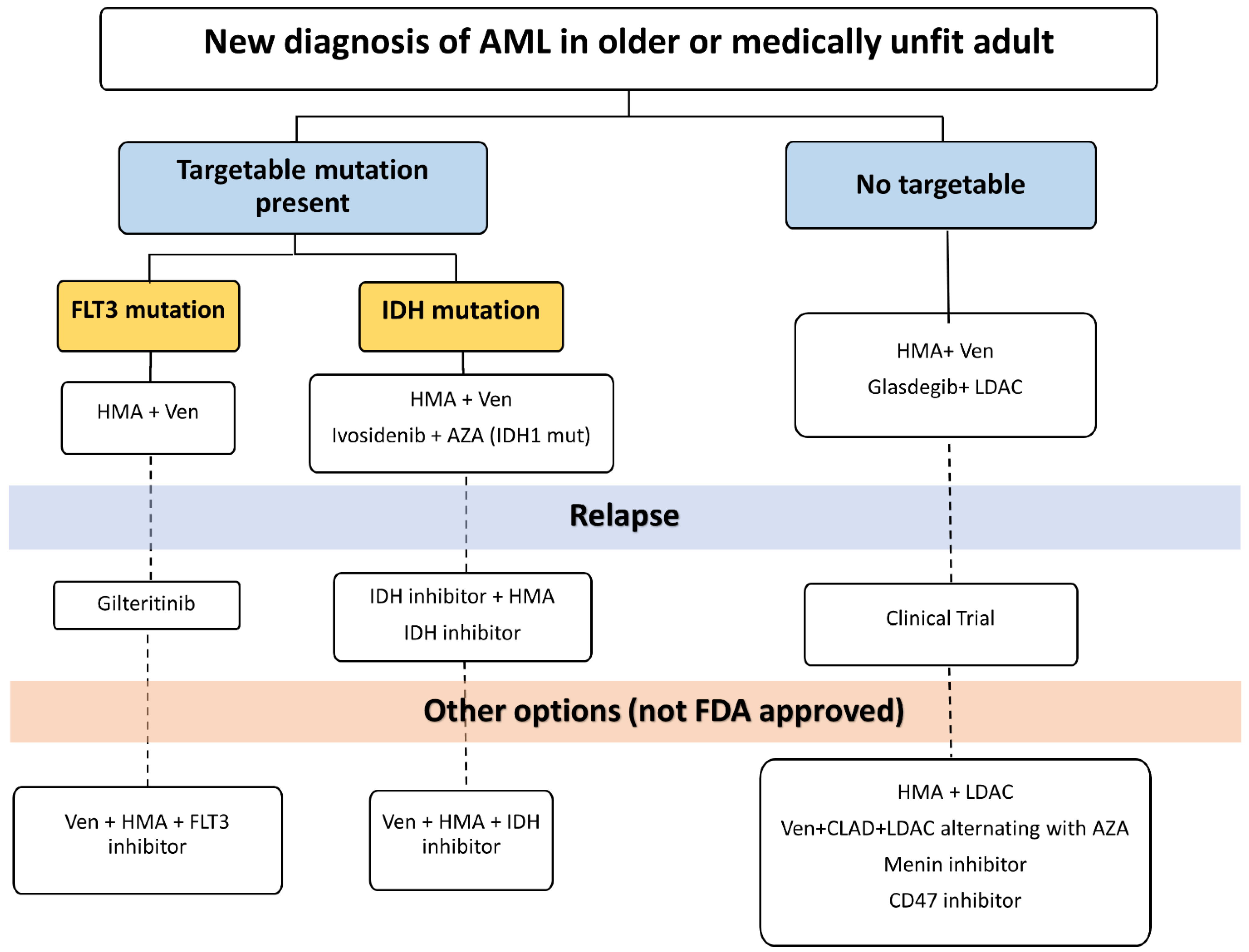 AML Treatment Drugs: Options, Success & What to Expect