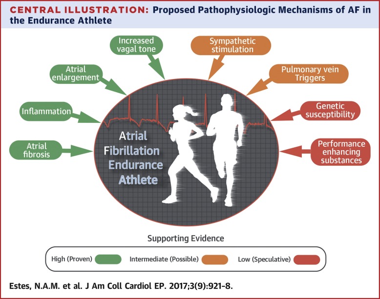 Atrial Fibrillation Exercise Guidelines: Safe Tips