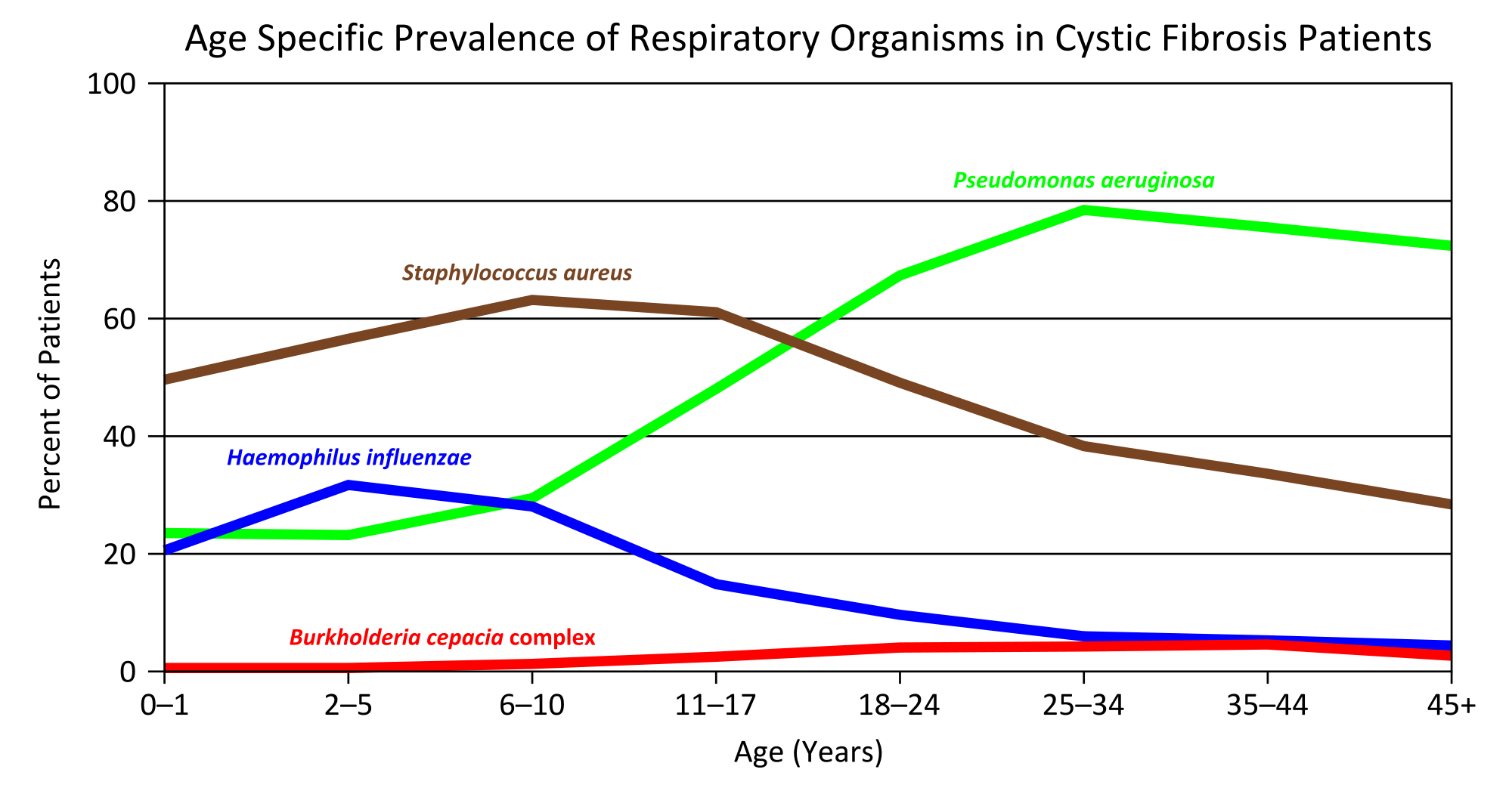b cepacia & cystic fibrosis life expectancy guide
